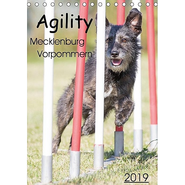 Agility Mecklenburg Vorpommern (Tischkalender 2019 DIN A5 hoch), Jill Langer
