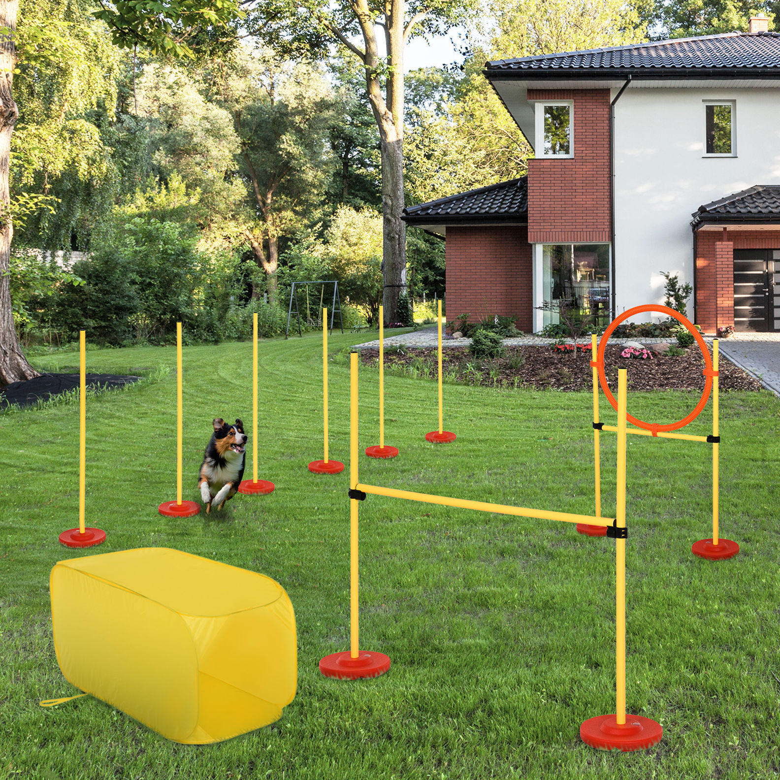 Agility Set für 4 verschiedene Trainingsvarianten | Weltbild.de