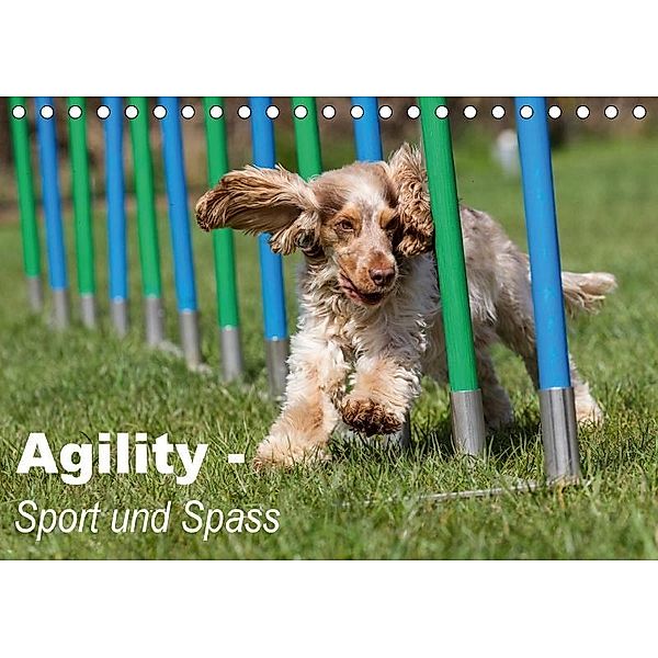 Agility - Sport und Spass (Tischkalender 2017 DIN A5 quer), Verena Scholze, Fotodesign Verena Scholze