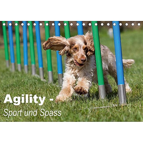 Agility - Sport und Spass (Tischkalender 2020 DIN A5 quer), Verena Scholze