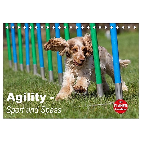 Agility - Sport und Spass (Tischkalender 2024 DIN A5 quer), CALVENDO Monatskalender, Fotodesign Verena Scholze