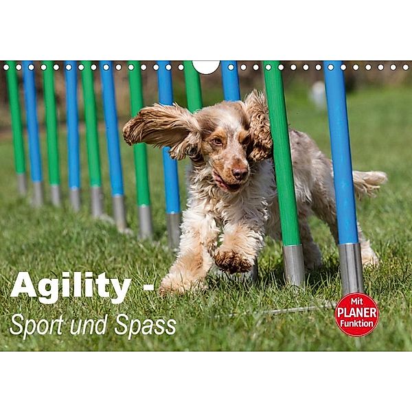 Agility - Sport und Spass (Wandkalender 2020 DIN A4 quer), Verena Scholze