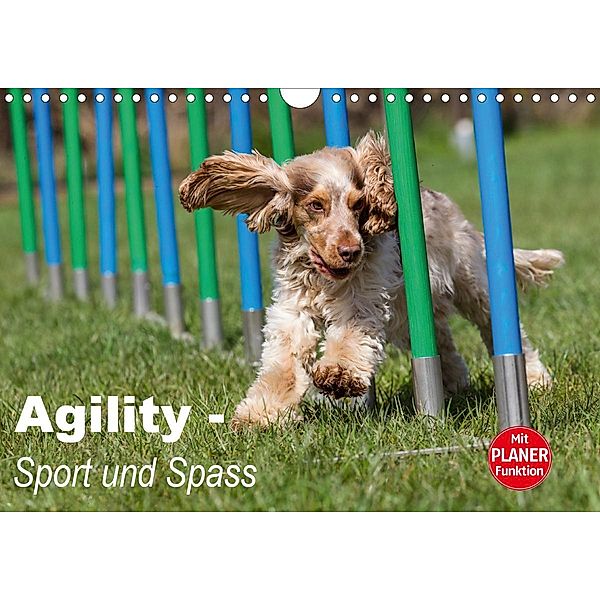 Agility - Sport und Spass (Wandkalender 2021 DIN A4 quer), Fotodesign Verena Scholze
