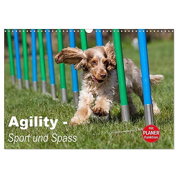 Agility - Sport und Spass (Wandkalender 2024 DIN A3 quer), CALVENDO Monatskalender, Fotodesign Verena Scholze