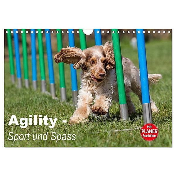 Agility - Sport und Spass (Wandkalender 2024 DIN A4 quer), CALVENDO Monatskalender, Fotodesign Verena Scholze