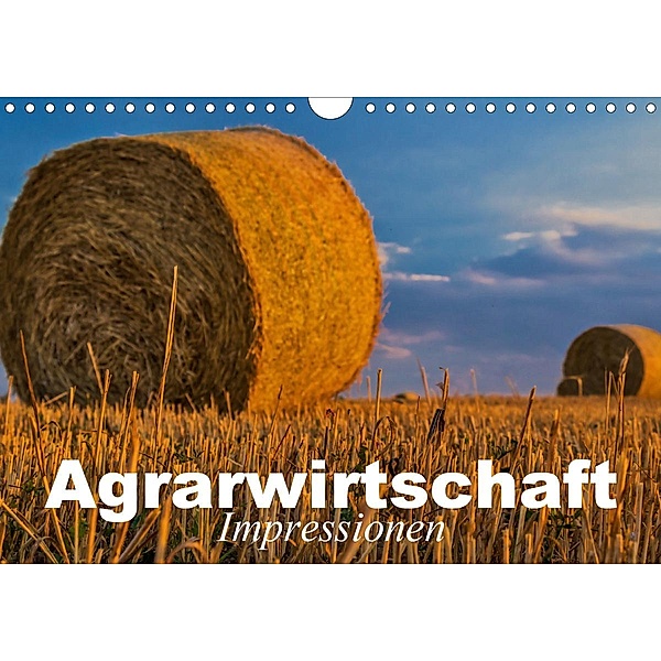 Agrarwirtschaft - Impressionen (Wandkalender 2021 DIN A4 quer), Elisabeth Stanzer