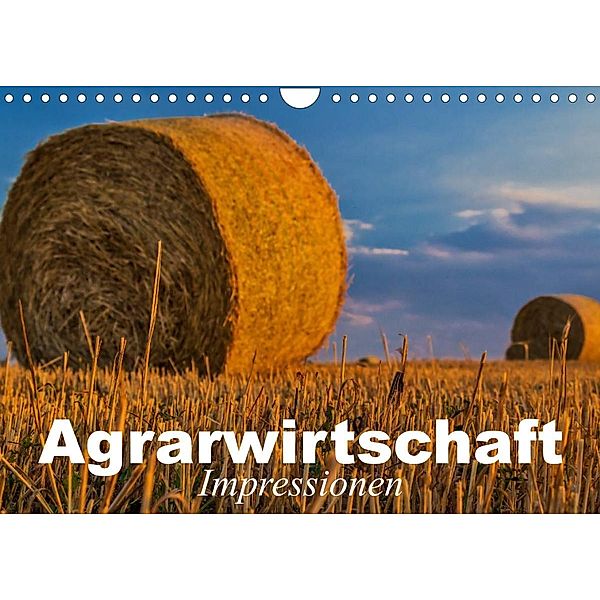 Agrarwirtschaft - Impressionen (Wandkalender 2023 DIN A4 quer), Elisabeth Stanzer