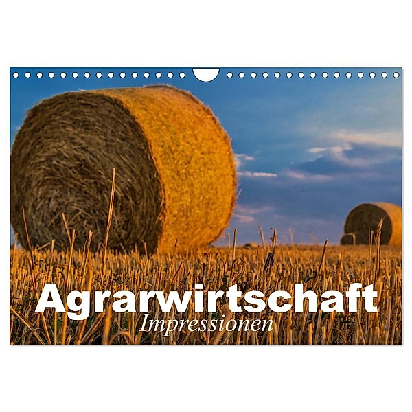 Agrarwirtschaft - Impressionen (Wandkalender 2024 DIN A4 quer), CALVENDO Monatskalender, Elisabeth Stanzer