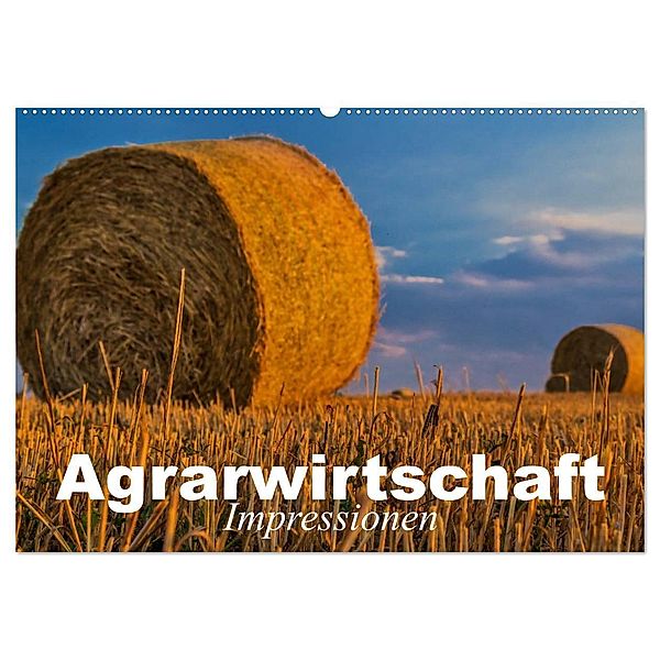Agrarwirtschaft - Impressionen (Wandkalender 2024 DIN A2 quer), CALVENDO Monatskalender, Elisabeth Stanzer