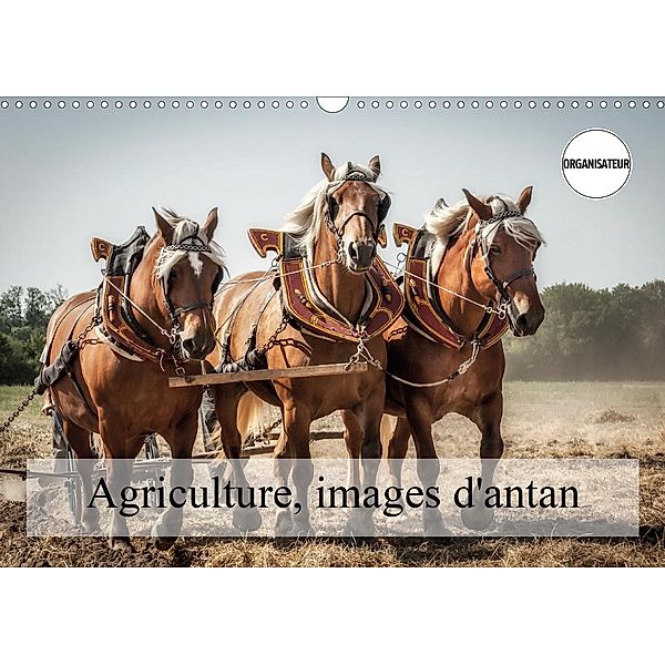 Agriculture, images d'antan (Calendrier mural 2021 DIN A3 horizontal), Alain Gaymard