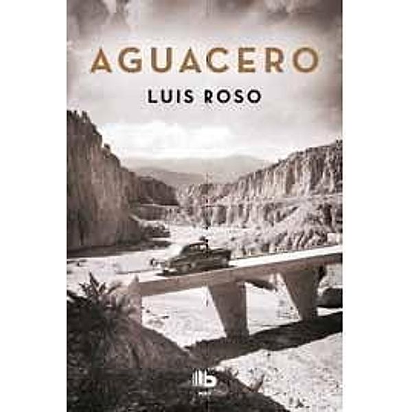 Aguacero, Luis Roso