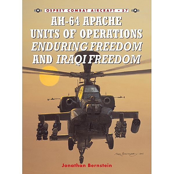 AH-64 Apache Units of Operations Enduring Freedom & Iraqi Freedom, Jonathan Bernstein