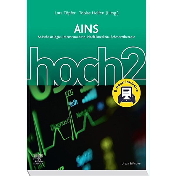AINS hoch2 + E-Book, Lars Töpfer, Tobias Helfen
