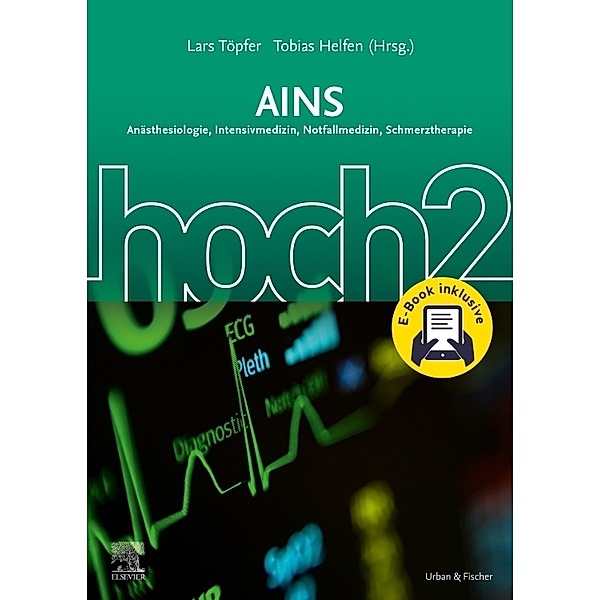 AINS hoch2 + E-Book, Lars Töpfer, Tobias Helfen