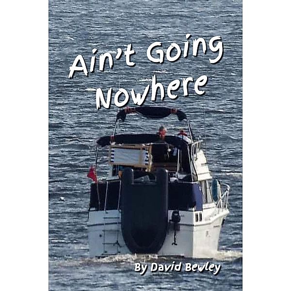 Ain't Going Nowhere, David Bewley