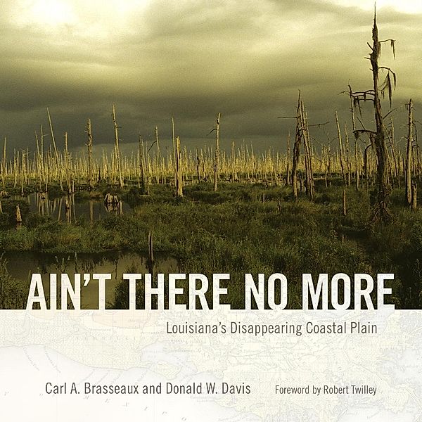 Ain't There No More / America's Third Coast Series, Carl A. Brasseaux, Donald W. Davis