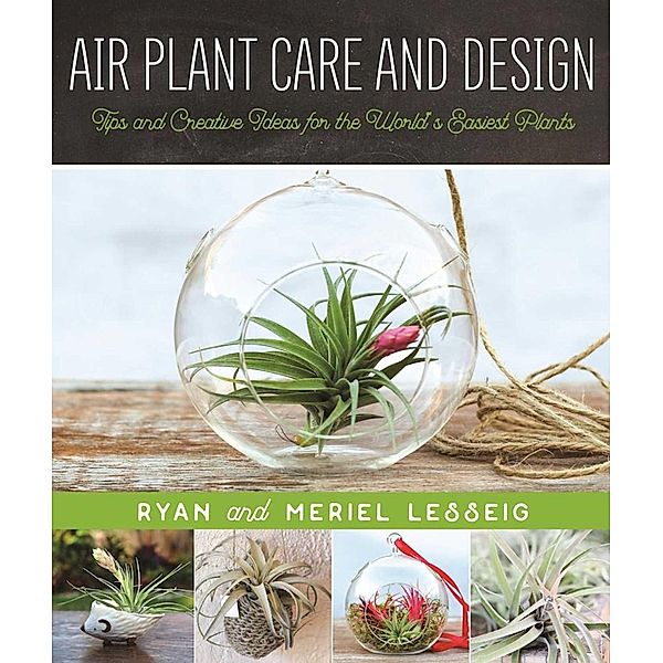 Air Plant Care and Design, Ryan Lesseig, Meriel Lesseig