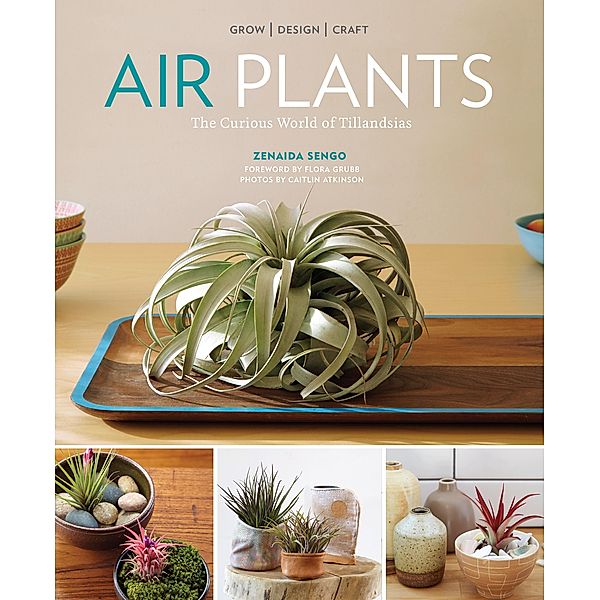 Air Plants, Zenaida Sengo