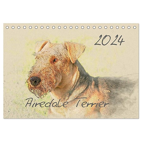 Airedale Terrier 2024 (Tischkalender 2024 DIN A5 quer), CALVENDO Monatskalender, Andrea Redecker