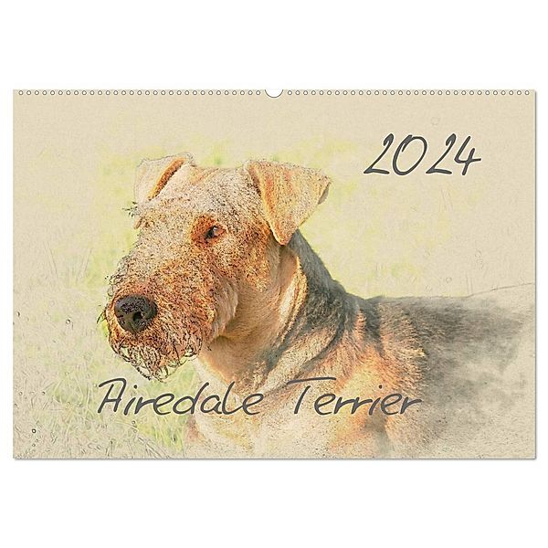 Airedale Terrier 2024 (Wandkalender 2024 DIN A2 quer), CALVENDO Monatskalender, Andrea Redecker