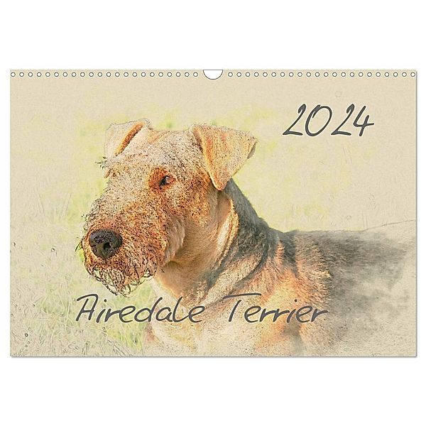 Airedale Terrier 2024 (Wandkalender 2024 DIN A3 quer), CALVENDO Monatskalender, Andrea Redecker