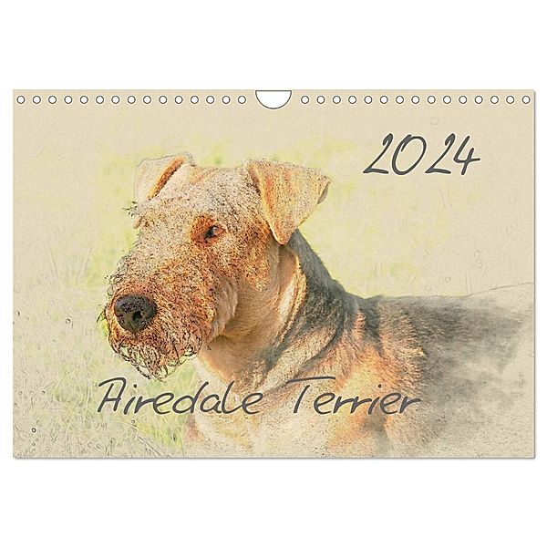 Airedale Terrier 2024 (Wandkalender 2024 DIN A4 quer), CALVENDO Monatskalender, Andrea Redecker
