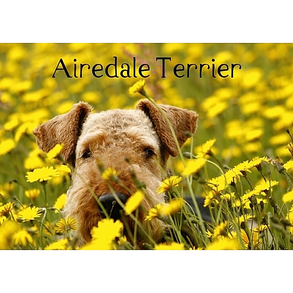 Airedale Terrier (Posterbuch DIN A4 quer), Susan Milau