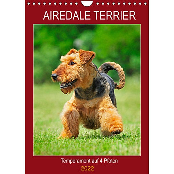 Airedale Terrier - Temperament auf 4 Pfoten (Wandkalender 2022 DIN A4 hoch), Sigrid Starick