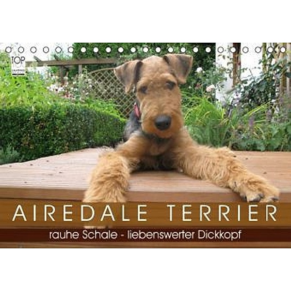 Airedale Terrier (Tischkalender 2015 DIN A5 quer), Gaby Rottmann