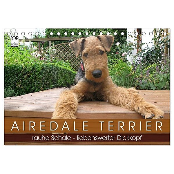 Airedale Terrier (Tischkalender 2024 DIN A5 quer), CALVENDO Monatskalender, Gaby Rottmann