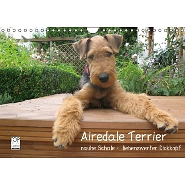 Airedale Terrier (Wandkalender 2015 DIN A4 quer), Gaby Rottmann