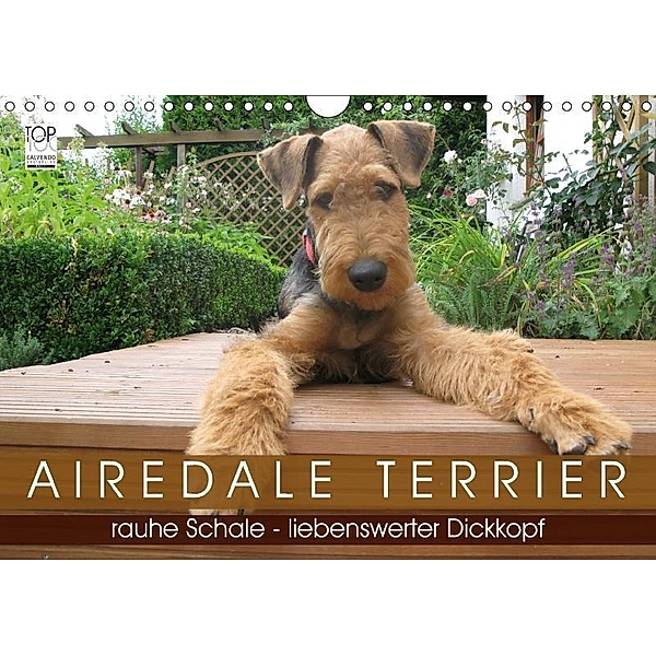 Airedale Terrier (Wandkalender 2017 DIN A4 quer), Gaby Rottmann