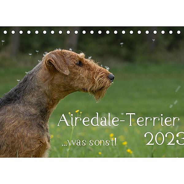 Airedale-Terrier, was sonst! (Tischkalender 2023 DIN A5 quer), Michael Janz