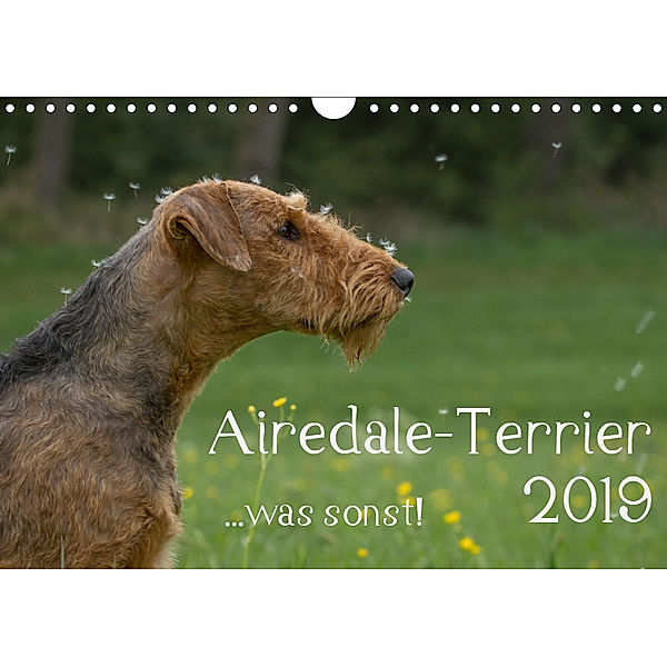 Airedale-Terrier, was sonst! (Wandkalender 2019 DIN A4 quer), Michael Janz