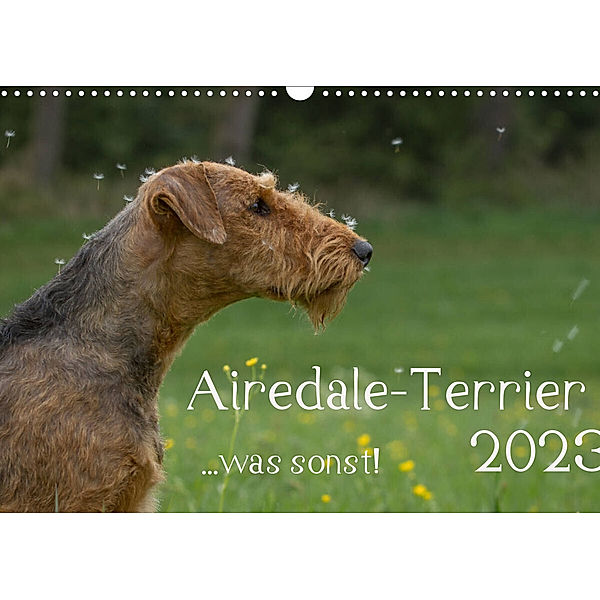 Airedale-Terrier, was sonst! (Wandkalender 2023 DIN A3 quer), Michael Janz