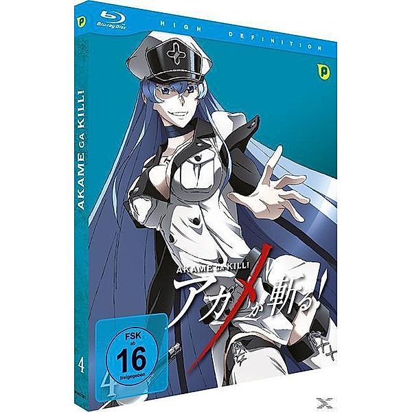 Akame Ga Kill: Schwerter der Assassinen Vol. 4