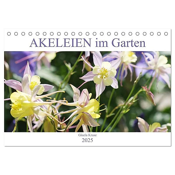 Akeleien im Garten (Tischkalender 2025 DIN A5 quer), CALVENDO Monatskalender, Calvendo, Gisela Kruse