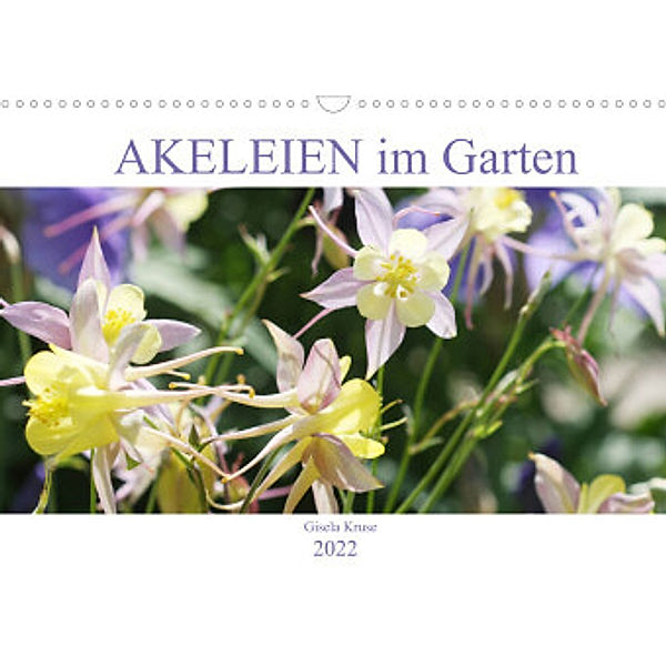 Akeleien im Garten (Wandkalender 2022 DIN A3 quer), Gisela Kruse
