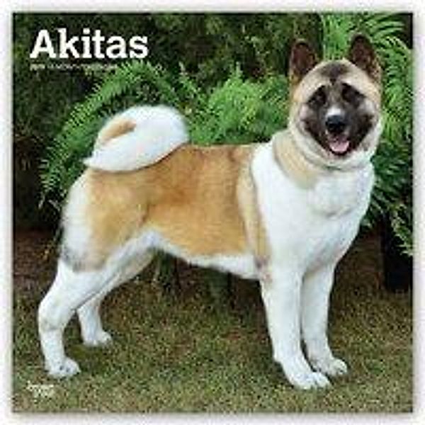 Akitas 2019 - 18-Monatskalender mit freier DogDays-App