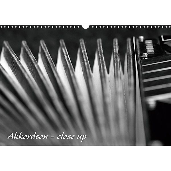 Akkordeon - close up (Wandkalender 2021 DIN A3 quer), Silvia Drafz