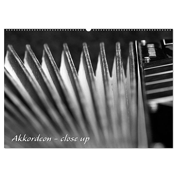 Akkordeon - close up (Wandkalender 2024 DIN A2 quer), CALVENDO Monatskalender, Silvia Drafz
