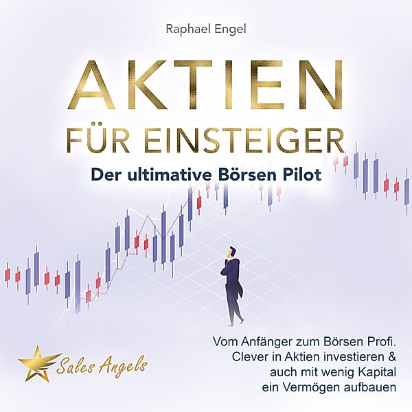 Aktien für Einsteiger – Der ultimative Börsen Pilot: Vom Anfänger zum Börsen Profi. Clever in Aktien investieren & auch mit wenig Kapital ein Vermögen aufbauen, Raphael Engel