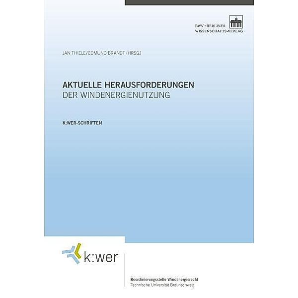 Aktuelle Herausforderungen der Windenergienutzung