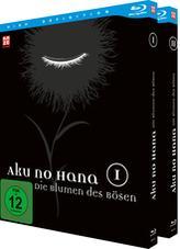 Image of Aku no hana BLU-RAY Box