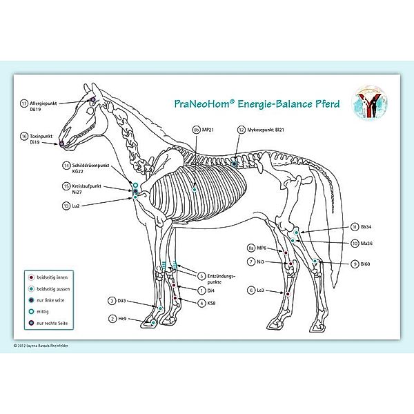Akupunktur-Tafel Pferd, Layena Bassols Rheinfelder