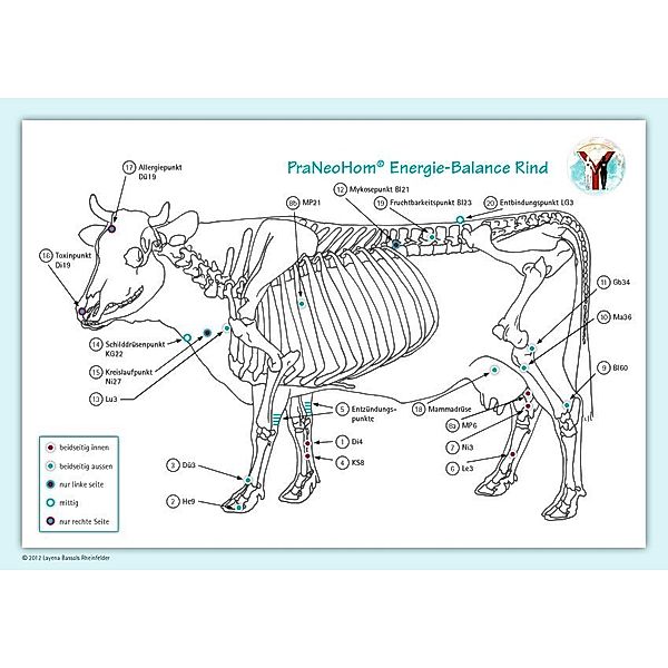 Akupunktur-Tafel Rind/Kuh, Layena Bassols Rheinfelder
