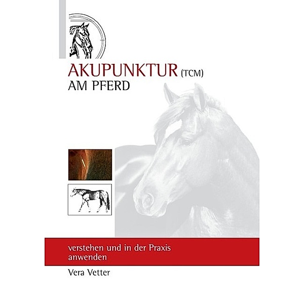 Akupunktur (TCM) am Pferd, Vera Vetter