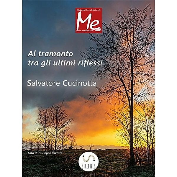 Al-tramonto tra gli ultimi riflessi, Salvatore Cucinotta