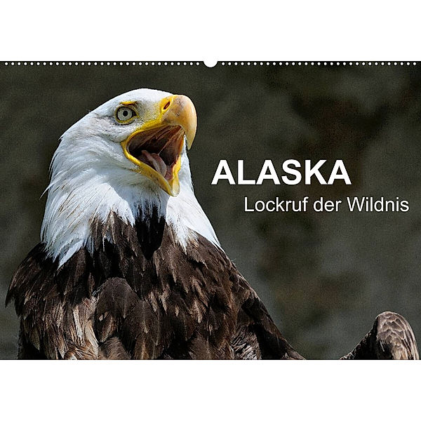 Alaska - Lockruf der Wildnis (Wandkalender 2023 DIN A2 quer), Dieter Wilczek