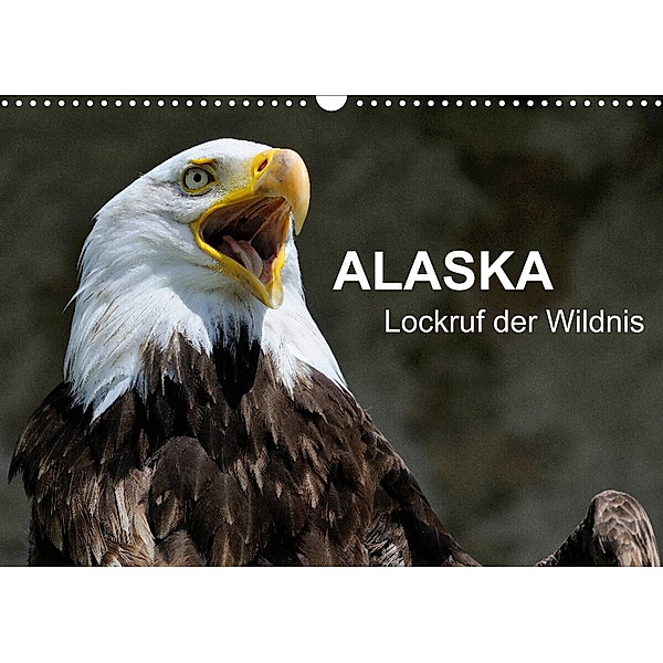 Alaska - Lockruf der Wildnis (Wandkalender 2023 DIN A3 quer), Dieter Wilczek